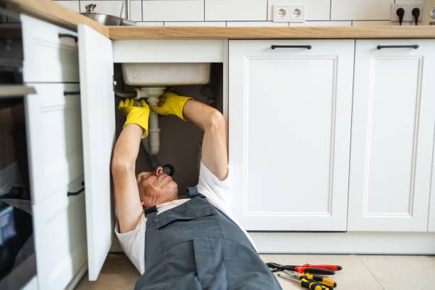 Best Residential Plumbing Services  in Sun Lakes, AZ
