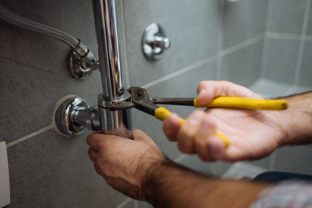 Best Local Plumber Services  in Sun Lakes, AZ