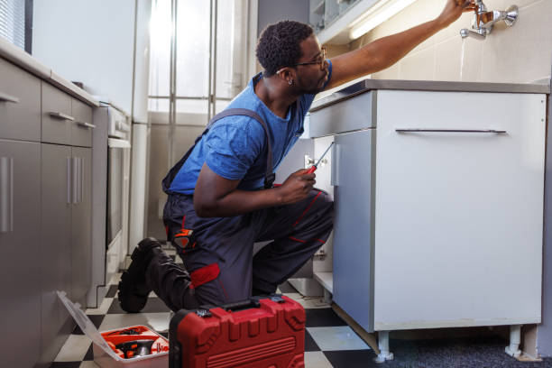 Best Same-Day Plumbing Service  in Sun Lakes, AZ